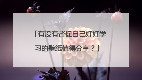 有没有督促自己好好学习的壁纸值得分享？