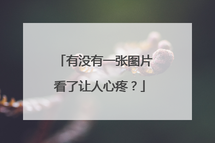 有没有一张图片看了让人心疼?