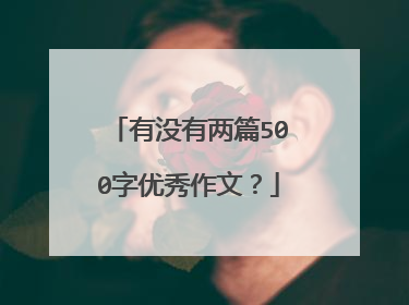 有没有两篇500字优秀作文?