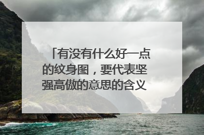 有没有什么好一点的纹身图，要代表坚强高傲的意思的含义图！最好是小一点的图腾，或者图案！