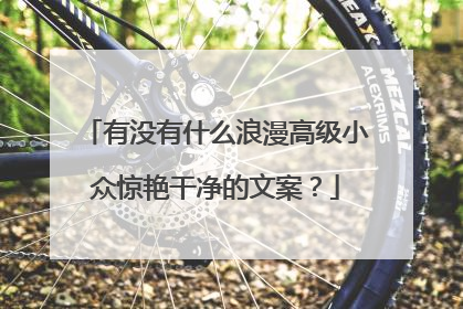 有没有什么浪漫高级小众惊艳干净的文案？