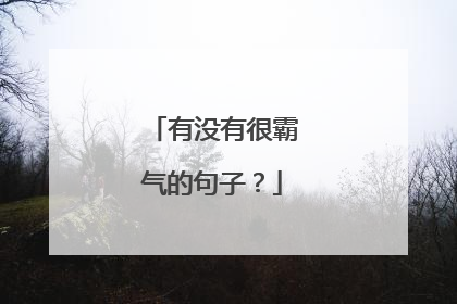 有没有很霸气的句子？