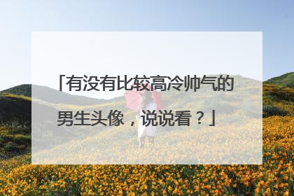 有没有比较高冷帅气的男生头像，说说看？