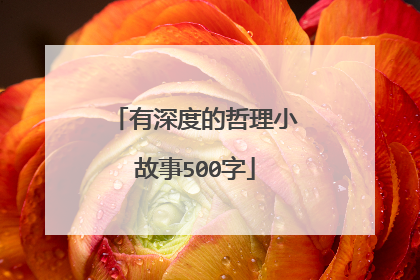 有深度的哲理小故事500字