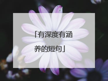 有深度有涵养的短句