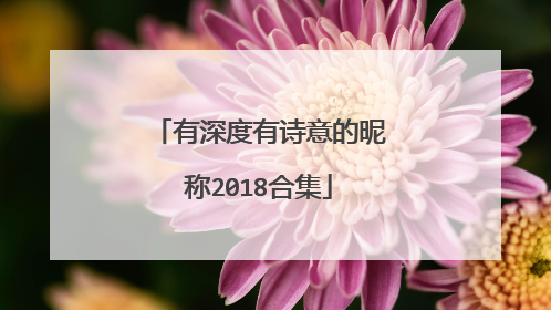 有深度有诗意的昵称2018合集