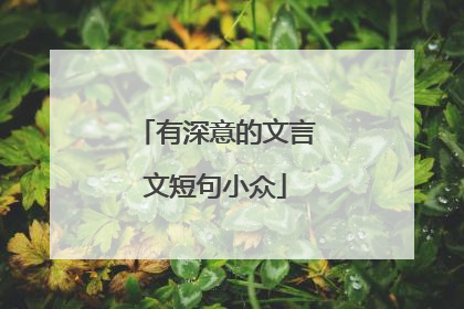 有深意的文言文短句小众