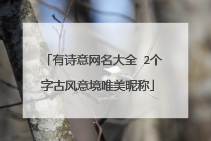 有诗意网名大全 2个字古风意境唯美昵称