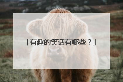 有趣的笑话有哪些?
