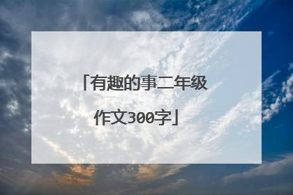 有趣的事二年级作文300字