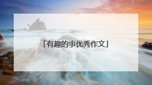 有趣的事优秀作文