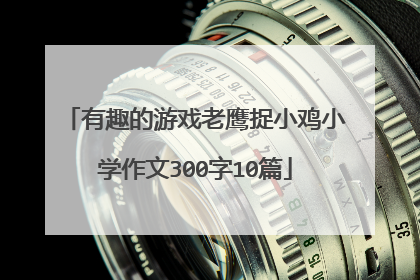 有趣的游戏老鹰捉小鸡小学作文300字10篇