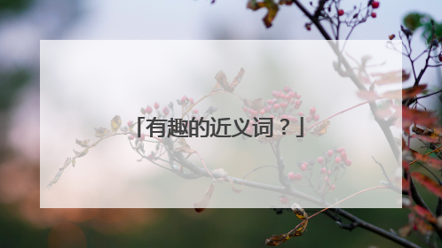 有趣的近义词?