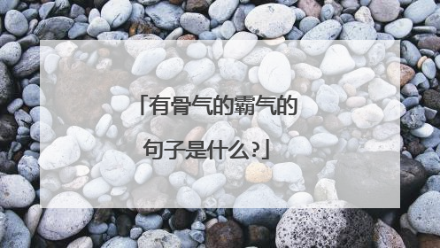 有骨气的霸气的句子是什么?