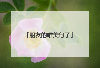 朋友的唯美句子