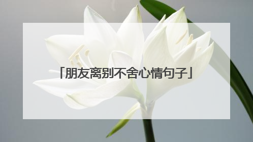 朋友离别不舍心情句子