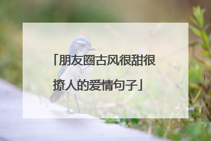 朋友圈古风很甜很撩人的爱情句子