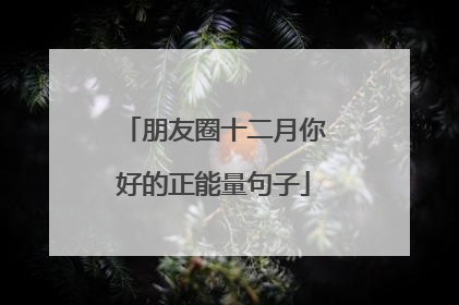 朋友圈十二月你好的正能量句子