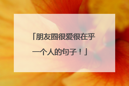 朋友圈很爱很在乎一个人的句子!