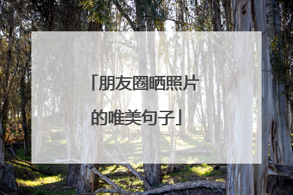 朋友圈晒照片的唯美句子