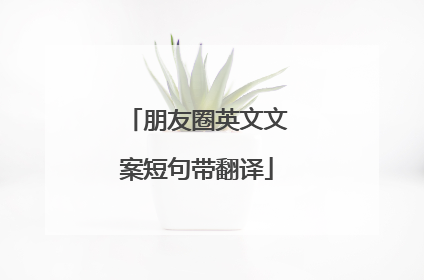 朋友圈英文文案短句带翻译