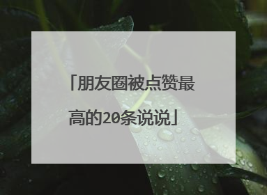 朋友圈被点赞最高的20条说说