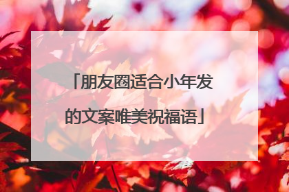 朋友圈适合小年发的文案唯美祝福语