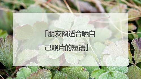 朋友圈适合晒自己照片的短语