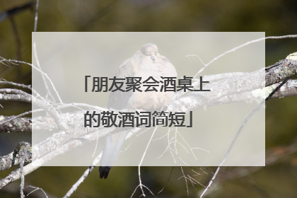 朋友聚会酒桌上的敬酒词简短