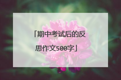 期中考试后的反思作文500字
