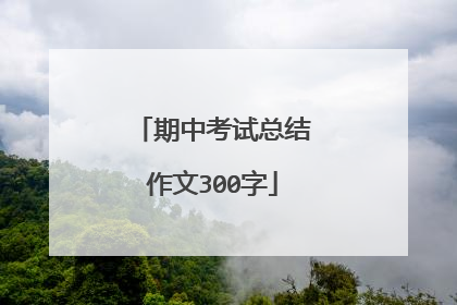 期中考试总结作文300字