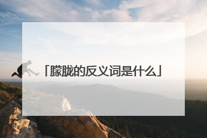 朦胧的反义词是什么