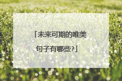 未来可期的唯美句子有哪些?