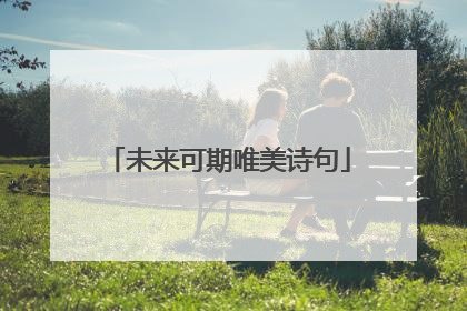 未来可期唯美诗句