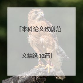 本科论文致谢范文精选10篇
