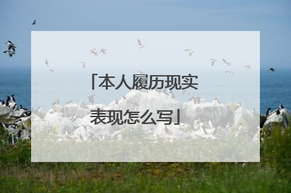 本人履历现实表现怎么写