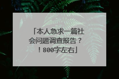 本人急求一篇社会问题调查报告？！800字左右