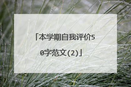本学期自我评价50字范文(2)