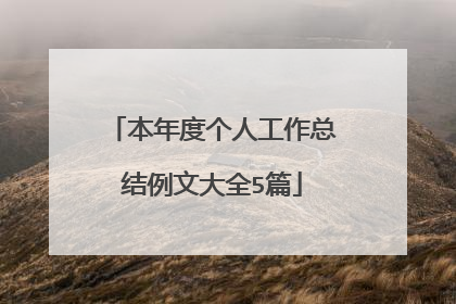 本年度个人工作总结例文大全5篇