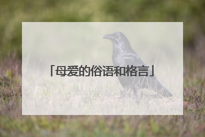母爱的俗语和格言