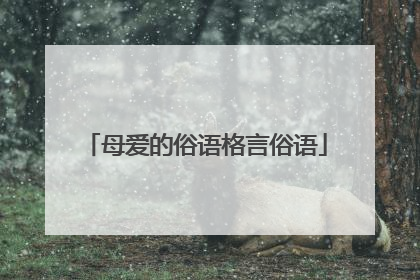 母爱的俗语格言俗语