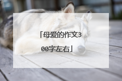 母爱的作文300字左右