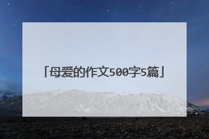 母爱的作文500字5篇