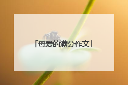 母爱的满分作文