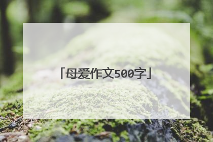 母爱作文500字