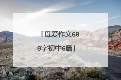 母爱作文600字初中6篇