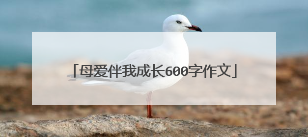 母爱伴我成长600字作文