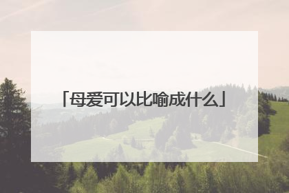 母爱可以比喻成什么