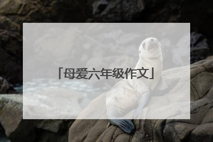 母爱六年级作文