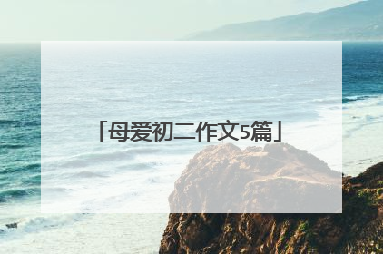 母爱初二作文5篇